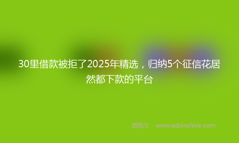 30里借款被拒了2025年精选，归纳5个征信花居然都下款的平台
