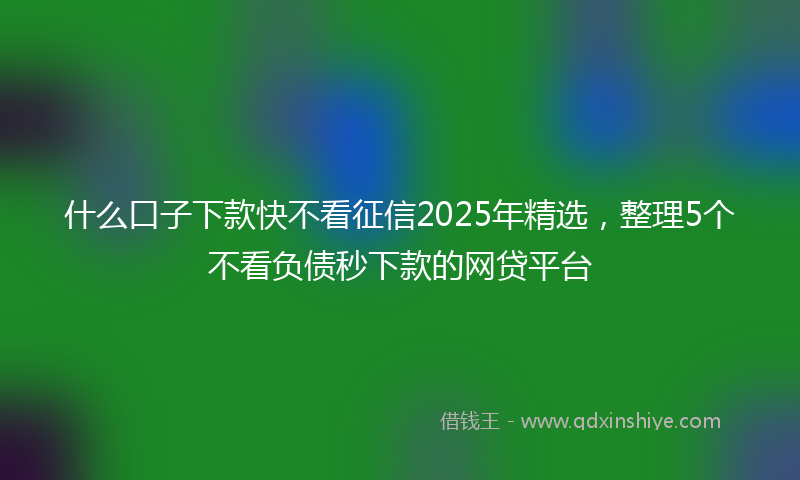 什么口子下款快不看征信2025年精选，整理5个不看负债秒下款的网贷平台