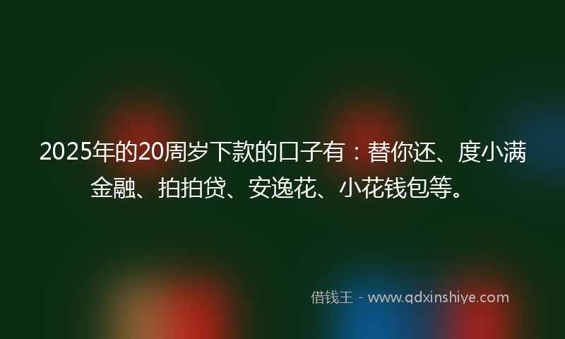 2025年的20周岁下款的口子有：替你还、度小满金融、拍拍贷、安逸花、小花钱包等。