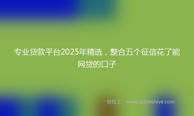 专业贷款平台2025年精选，整合五个征信花了能网贷的口子