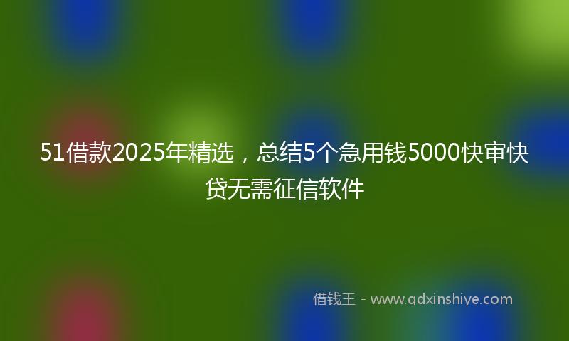 51借款2025年精选，总结5个急用钱5000快审快贷无需征信软件