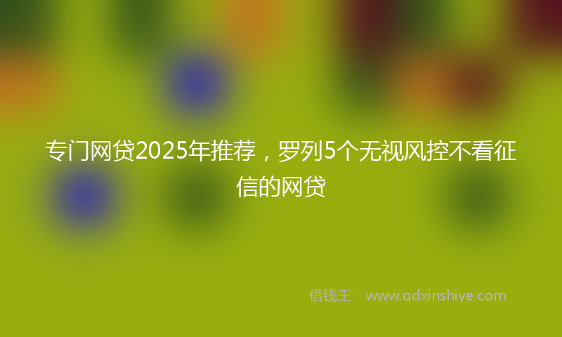 专门网贷2025年推荐，罗列5个无视风控不看征信的网贷