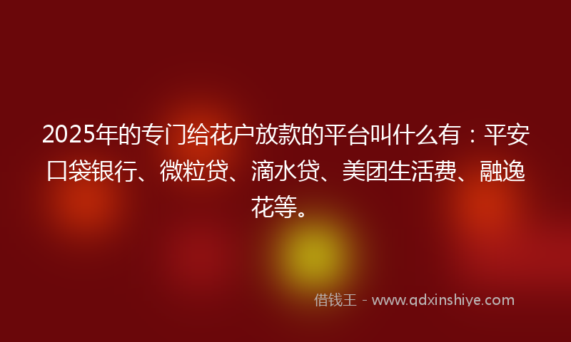 2025年的专门给花户放款的平台叫什么有：平安口袋银行、微粒贷、滴水贷、美团生活费、融逸花等。