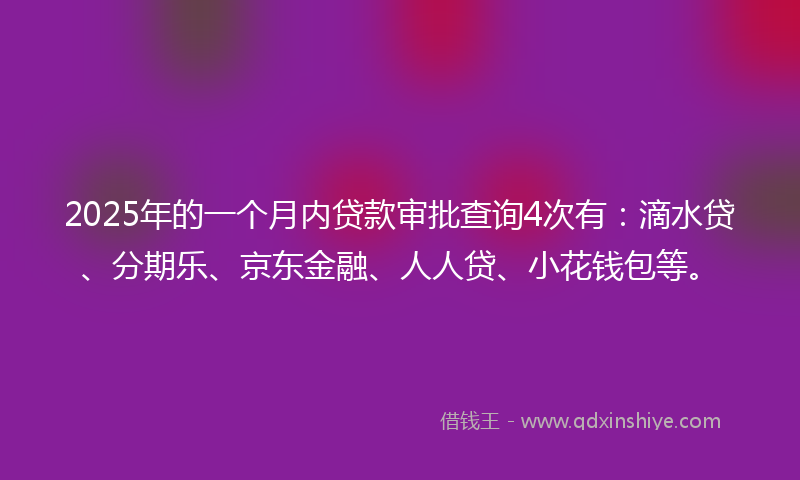 2025年的一个月内贷款审批查询4次有：滴水贷、分期乐、京东金融、人人贷、小花钱包等。