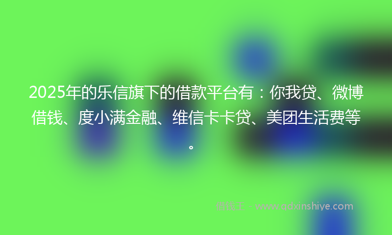 2025年的乐信旗下的借款平台有：你我贷、微博借钱、度小满金融、维信卡卡贷、美团生活费等。