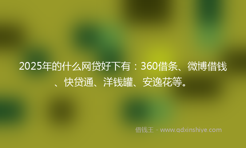 2025年的什么网贷好下有：360借条、微博借钱、快贷通、洋钱罐、安逸花等。