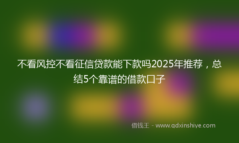 不看风控不看征信贷款能下款吗2025年推荐，总结5个靠谱的借款口子