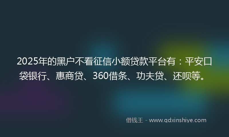 2025年的黑户不看征信小额贷款平台有：平安口袋银行、惠商贷、360借条、功夫贷、还呗等。