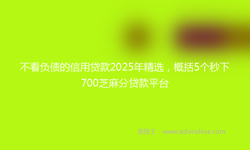 不看负债的信用贷款2025年精选，概括5个秒下700芝麻分贷款平台