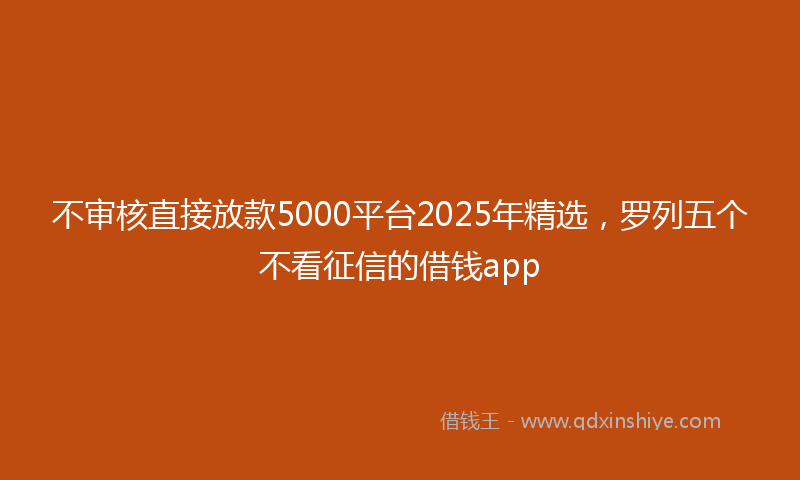 不审核直接放款5000平台2025年精选，罗列五个不看征信的借钱app