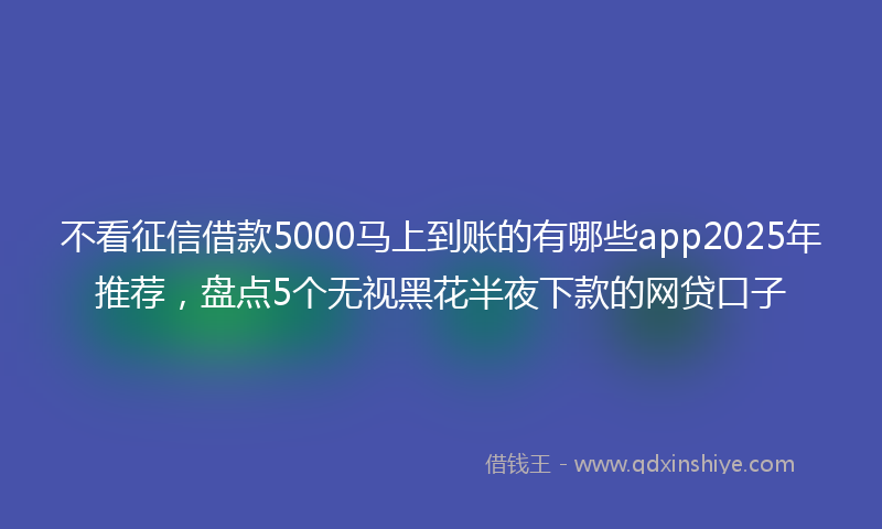 不看征信借款5000马上到账的有哪些app2025年推荐，盘点5个无视黑花半夜下款的网贷口子