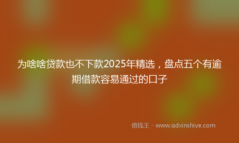为啥啥贷款也不下款2025年精选，盘点五个有逾期借款容易通过的口子