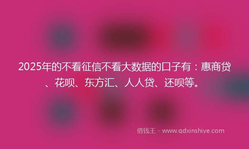 2025年的不看征信不看大数据的口子有：惠商贷、花呗、东方汇、人人贷、还呗等。