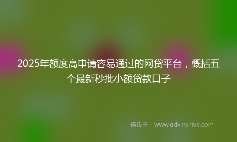 2025年额度高申请容易通过的网贷平台，概括五个最新秒批小额贷款口子