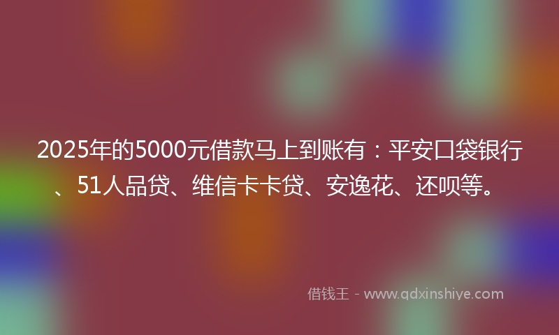2025年的5000元借款马上到账有：平安口袋银行、51人品贷、维信卡卡贷、安逸花、还呗等。