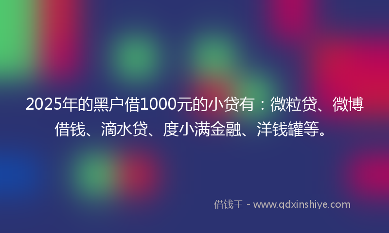 2025年的黑户借1000元的小贷有：微粒贷、微博借钱、滴水贷、度小满金融、洋钱罐等。