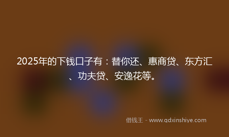 2025年的下钱口子有：替你还、惠商贷、东方汇、功夫贷、安逸花等。