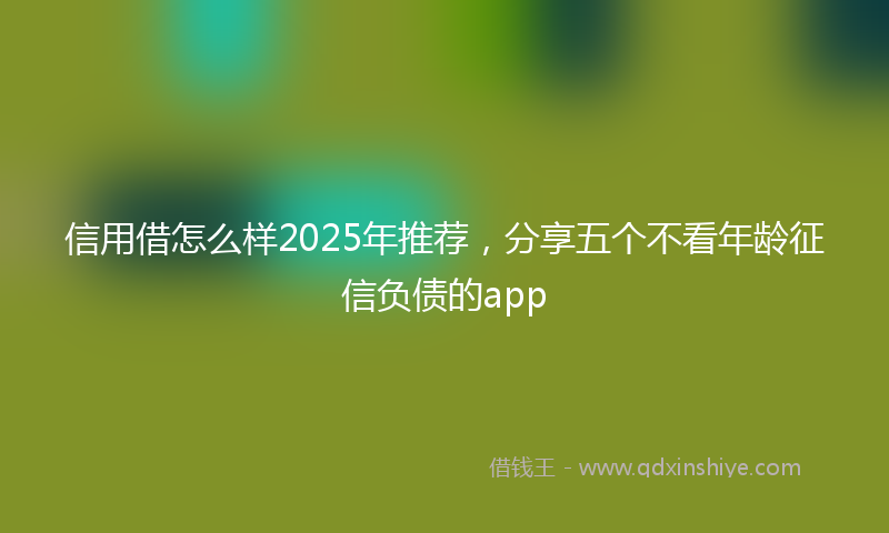 信用借怎么样2025年推荐，分享五个不看年龄征信负债的app
