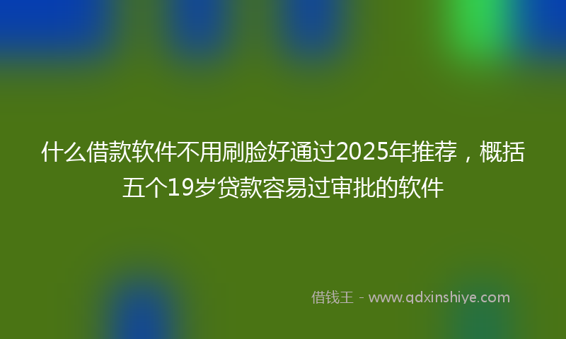 什么借款软件不用刷脸好通过2025年推荐，概括五个19岁贷款容易过审批的软件