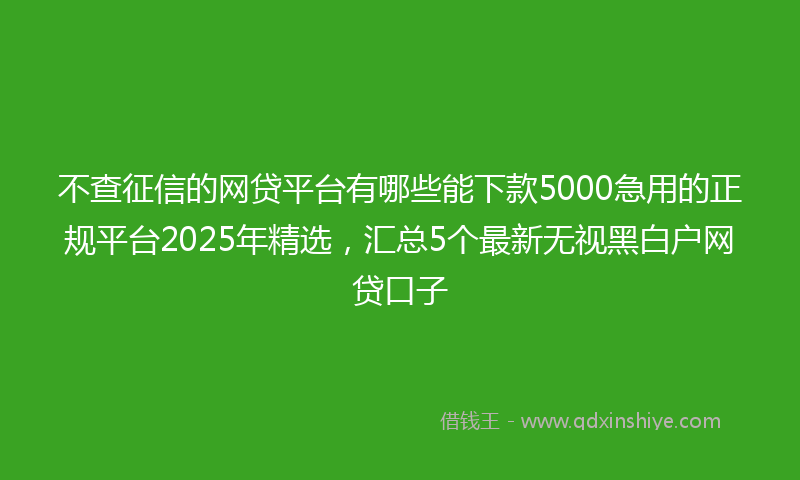 不查征信的网贷平台有哪些能下款5000急用的正规平台2025年精选，汇总5个最新无视黑白户网贷口子