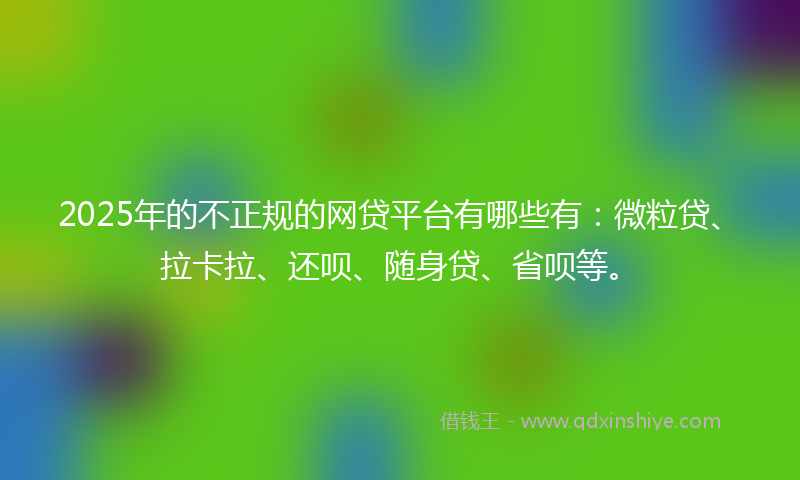 2025年的不正规的网贷平台有哪些有：微粒贷、拉卡拉、还呗、随身贷、省呗等。