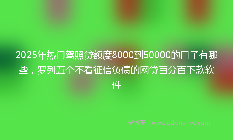2025年热门驾照贷额度8000到50000的口子有哪些，罗列五个不看征信负债的网贷百分百下款软件