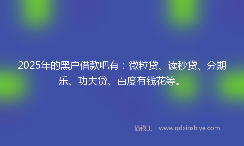 2025年的黑户借款吧有：微粒贷、读秒贷、分期乐、功夫贷、百度有钱花等。