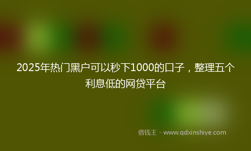 2025年热门黑户可以秒下1000的口子，整理五个利息低的网贷平台