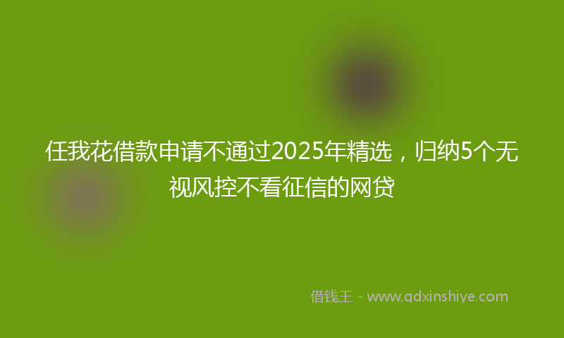 任我花借款申请不通过2025年精选，归纳5个无视风控不看征信的网贷
