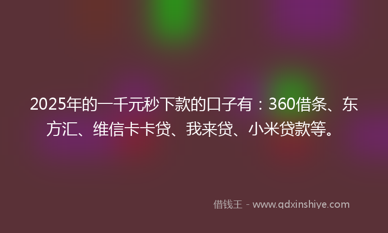 2025年的一千元秒下款的口子有：360借条、东方汇、维信卡卡贷、我来贷、小米贷款等。