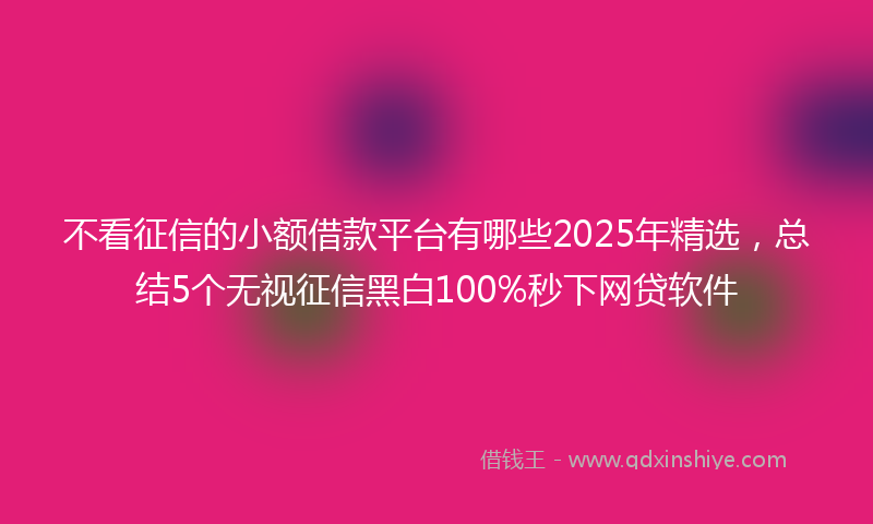 不看征信的小额借款平台有哪些2025年精选，总结5个无视征信黑白100%秒下网贷软件