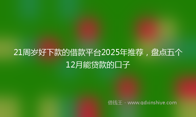21周岁好下款的借款平台2025年推荐，盘点五个12月能贷款的口子