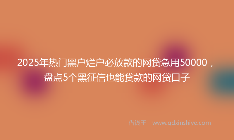 2025年热门黑户烂户必放款的网贷急用50000，盘点5个黑征信也能贷款的网贷口子