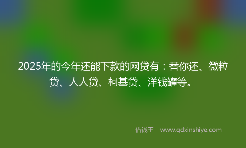 2025年的今年还能下款的网贷有：替你还、微粒贷、人人贷、柯基贷、洋钱罐等。