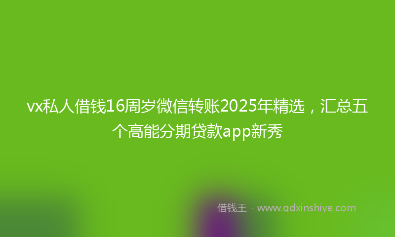 vx私人借钱16周岁微信转账2025年精选，汇总五个高能分期贷款app新秀
