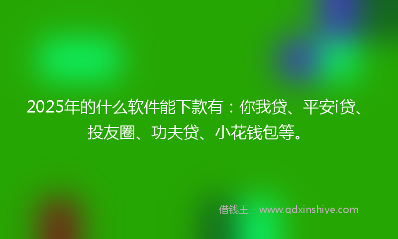2025年的什么软件能下款有：你我贷、平安i贷、投友圈、功夫贷、小花钱包等。