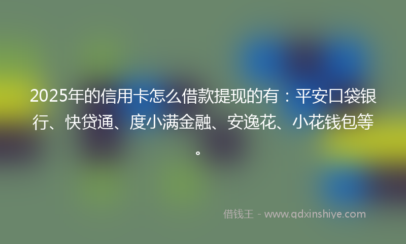 2025年的信用卡怎么借款提现的有：平安口袋银行、快贷通、度小满金融、安逸花、小花钱包等。