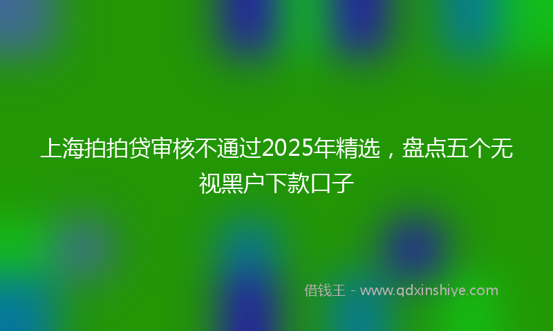 上海拍拍贷审核不通过2025年精选，盘点五个无视黑户下款口子
