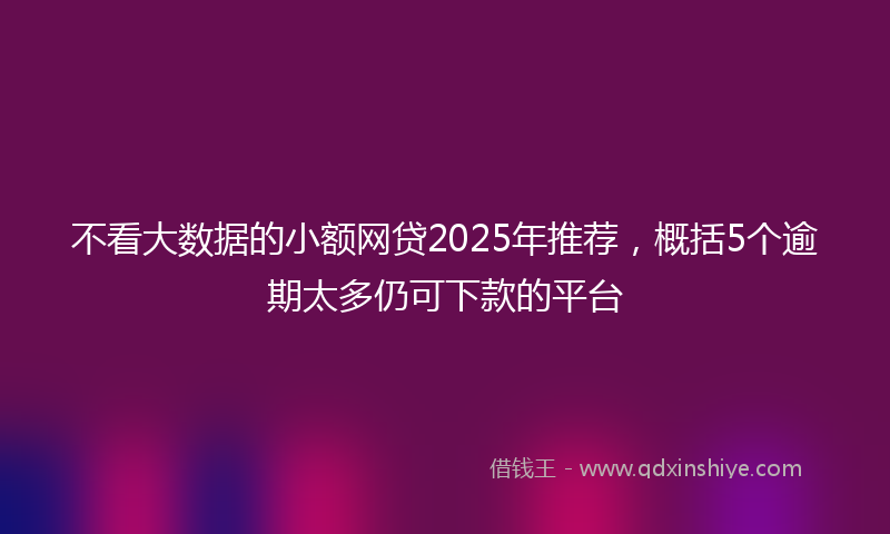 不看大数据的小额网贷2025年推荐，概括5个逾期太多仍可下款的平台