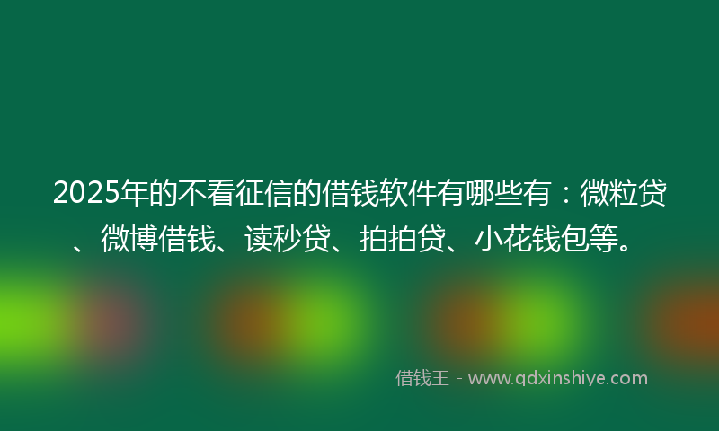 2025年的不看征信的借钱软件有哪些有：微粒贷、微博借钱、读秒贷、拍拍贷、小花钱包等。