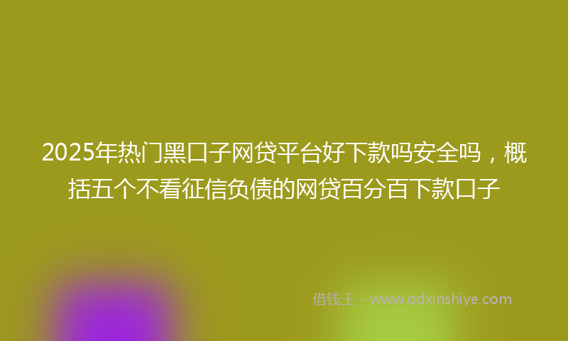 2025年热门黑口子网贷平台好下款吗安全吗，概括五个不看征信负债的网贷百分百下款口子