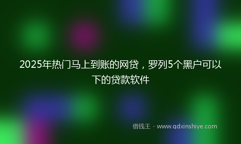 2025年热门马上到账的网贷，罗列5个黑户可以下的贷款软件