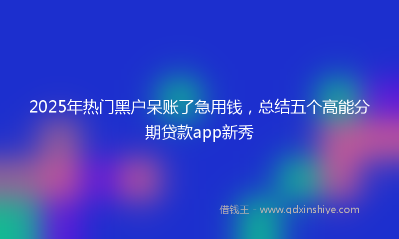 2025年热门黑户呆账了急用钱，总结五个高能分期贷款app新秀