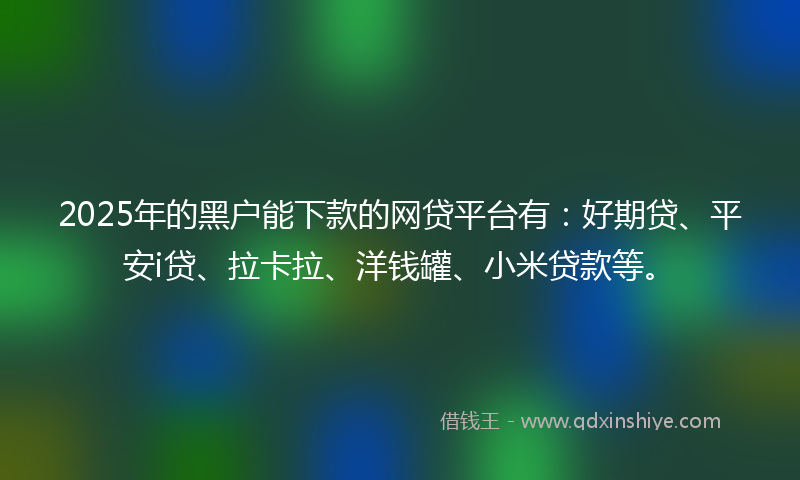 2025年的黑户能下款的网贷平台有：好期贷、平安i贷、拉卡拉、洋钱罐、小米贷款等。