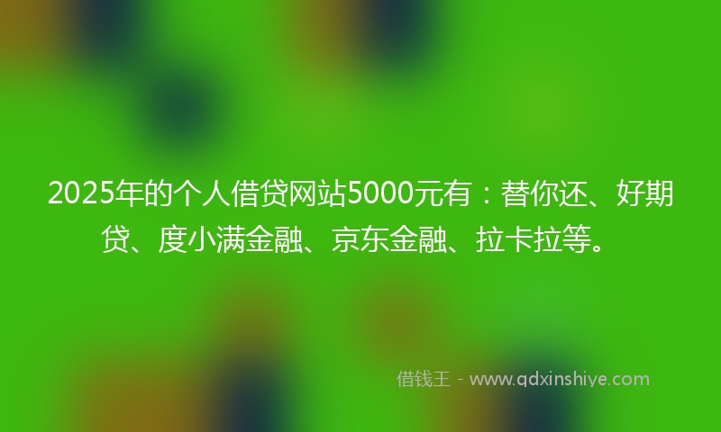 2025年的个人借贷网站5000元有：替你还、好期贷、度小满金融、京东金融、拉卡拉等。
