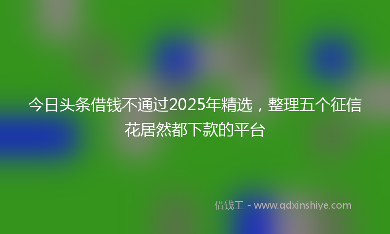 今日头条借钱不通过2025年精选，整理五个征信花居然都下款的平台