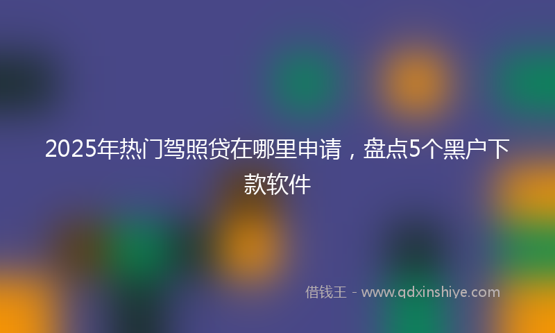 2025年热门驾照贷在哪里申请，盘点5个黑户下款软件