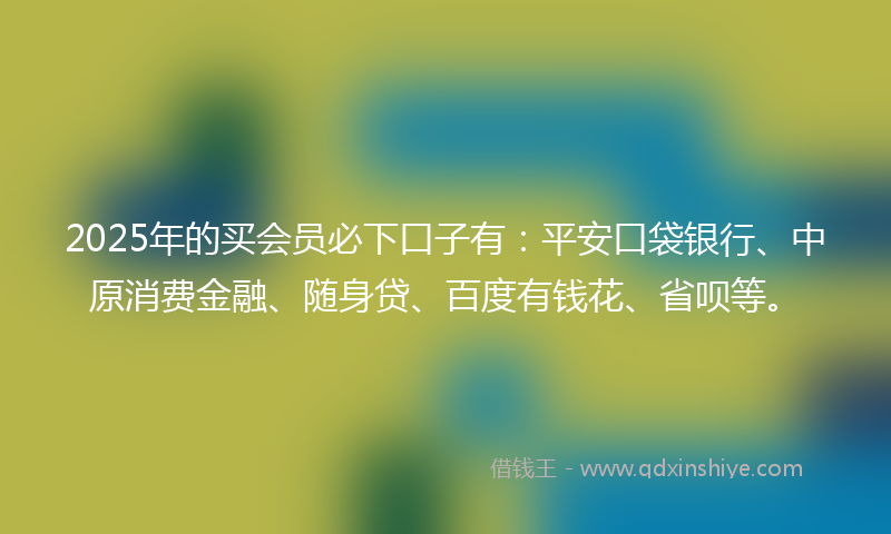 2025年的买会员必下口子有：平安口袋银行、中原消费金融、随身贷、百度有钱花、省呗等。