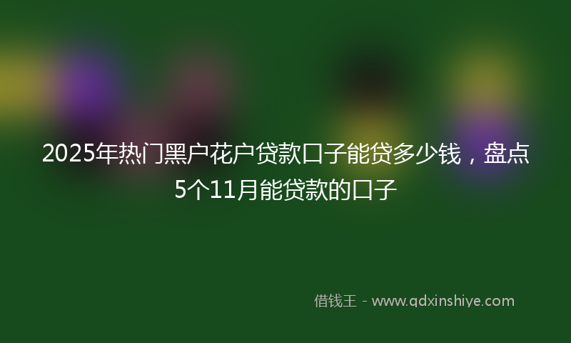 2025年热门黑户花户贷款口子能贷多少钱，盘点5个11月能贷款的口子
