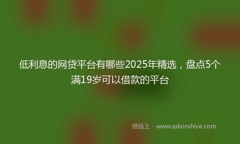 低利息的网贷平台有哪些2025年精选，盘点5个满19岁可以借款的平台